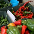 Fresh chillies for sale - Original Images